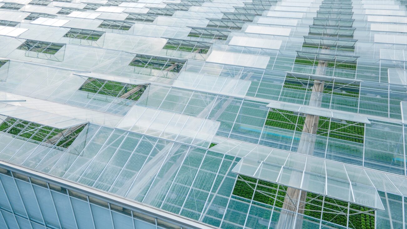 Gewächshaus mit Fenstern aus Polycarbonat